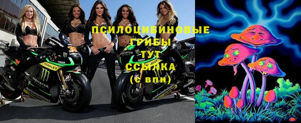 МДПВ Нестеровская