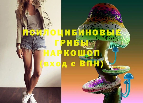 PSILOCYBIN Калининец
