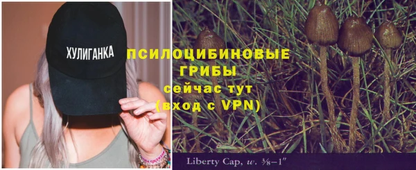 МДПВ Нестеровская