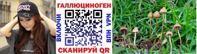 Псилоцибиновые грибы Magic Shrooms  Купить  Невьянск 